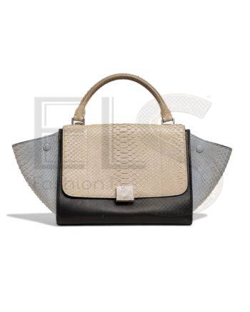 Celine Trapeze Python Tricolor ELS Fashion TV